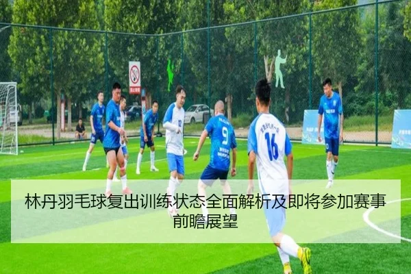 林丹羽毛球复出训练状态全面解析及即将参加赛事前瞻展望